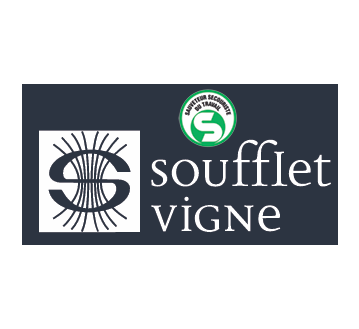 TRANSFERT CASQUETTE "SOUFFLET VIGNE+SST" 3COULEURS