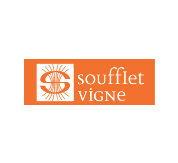 TRANSFERT COEUR "SOUFFLET VIGNE" 1 COULEUR : BLANC