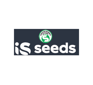 TRANSFERT CASQUETTE "ID SEEDS + SST" 3COULEURS