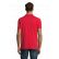 POLO PERFECT HOMME 11346 - SOL'S + TRANSFERT COEUR "IS SEEDS"