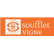 POLO PERFECT HOMME 11346 - SOL'S + TRANSFERT COEUR "SOUFFLET VIGNE"